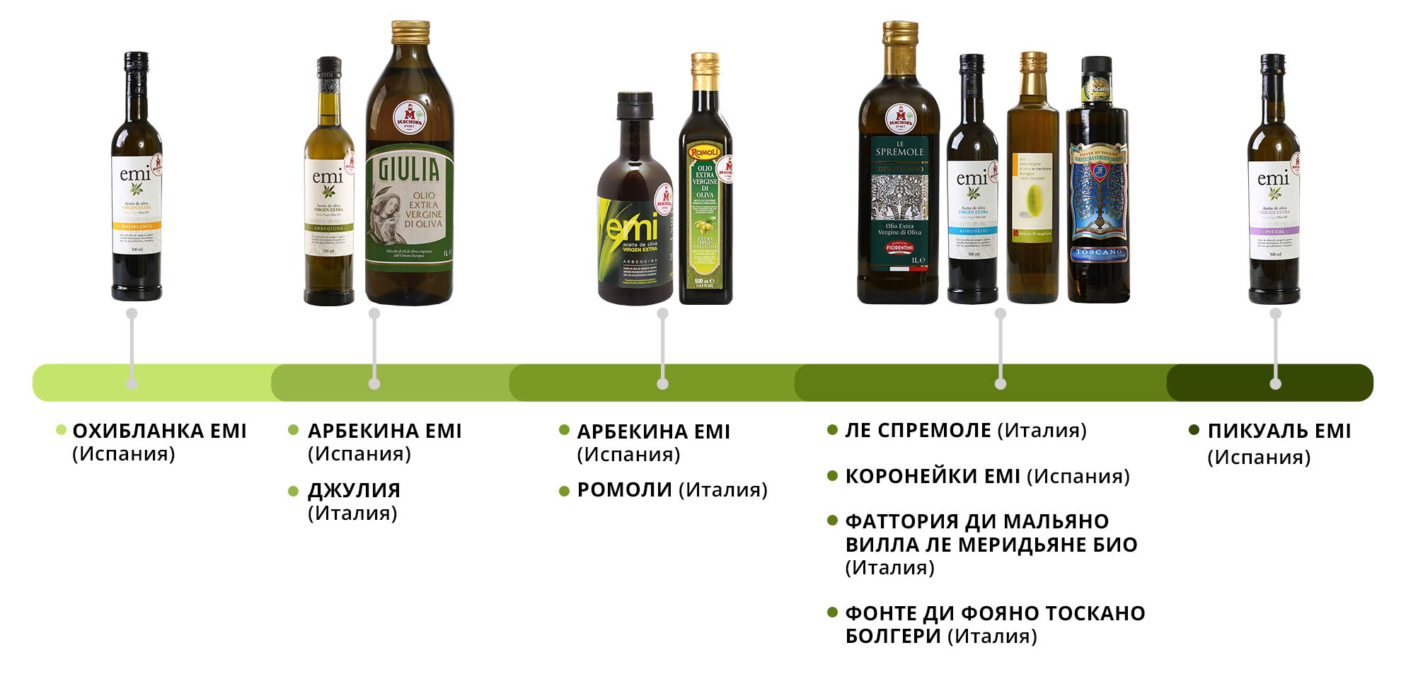 Лечебный сорт оливкового масла. Оливковая земля. Почему горчит оливковое масло